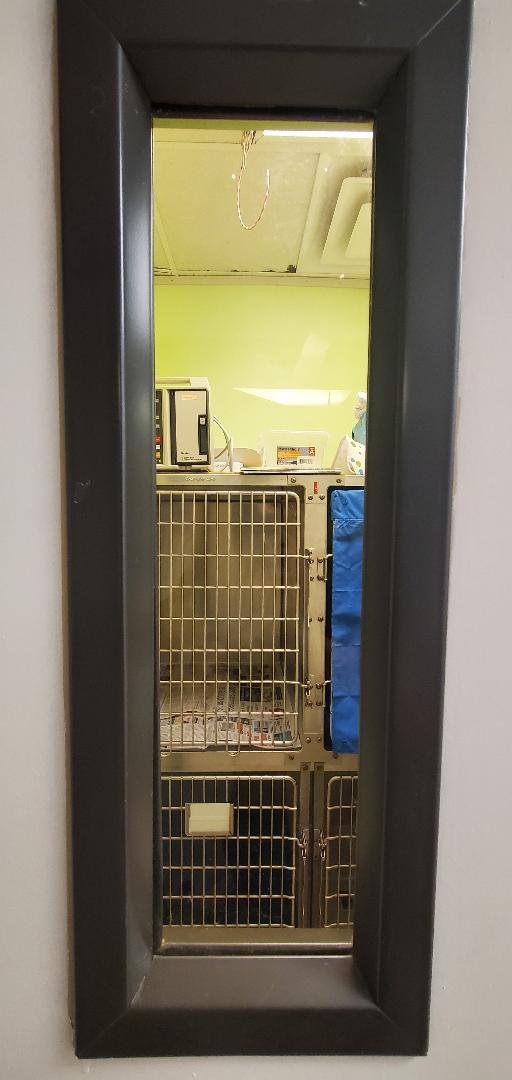 Isolation ward at Cal City Pet Clinic