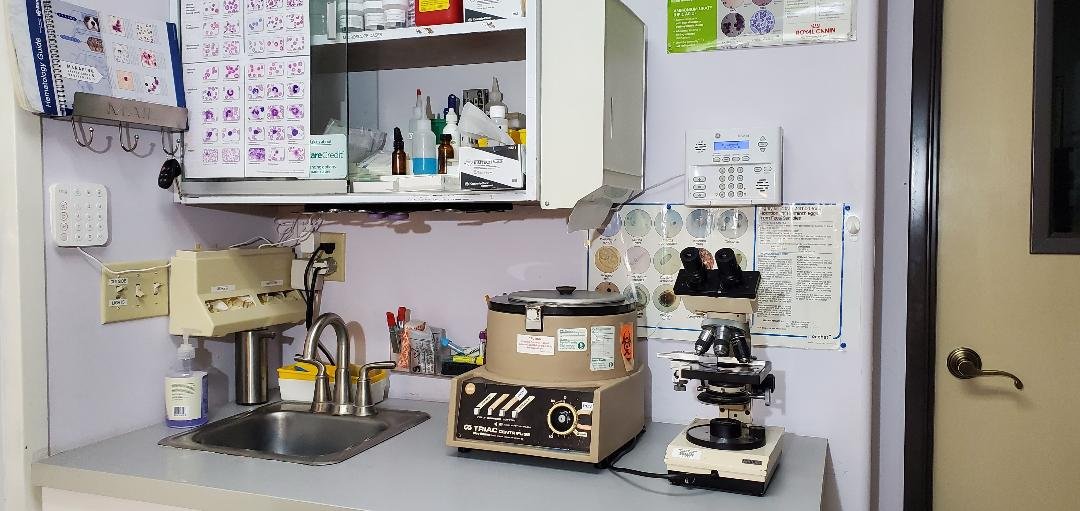 In-house laboratory at Cal City Pet Clinic, with centrifuge and microscope