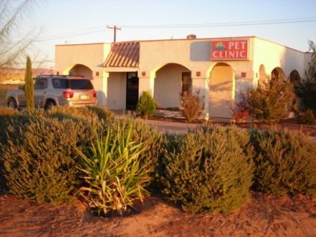 Cal City Pet Clinic at sunset, California City