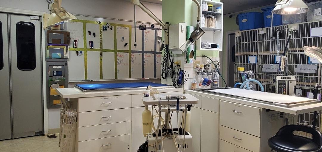 Central treatment room at Cal City Pet Clinic