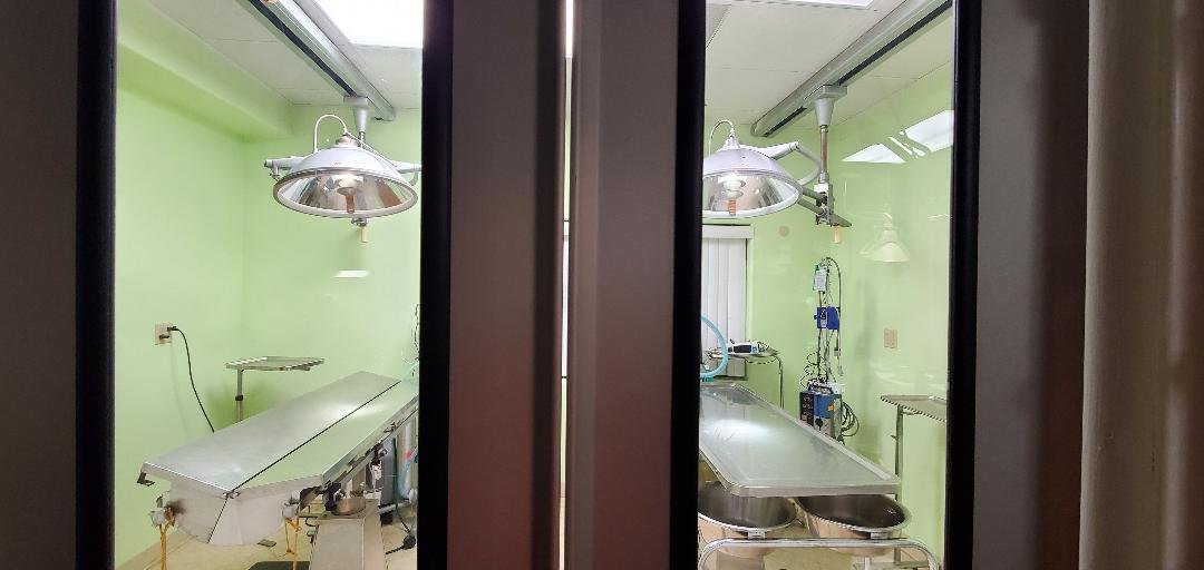 The surgical area at Cal City Pet Clinic, two tables under their own overhead lights