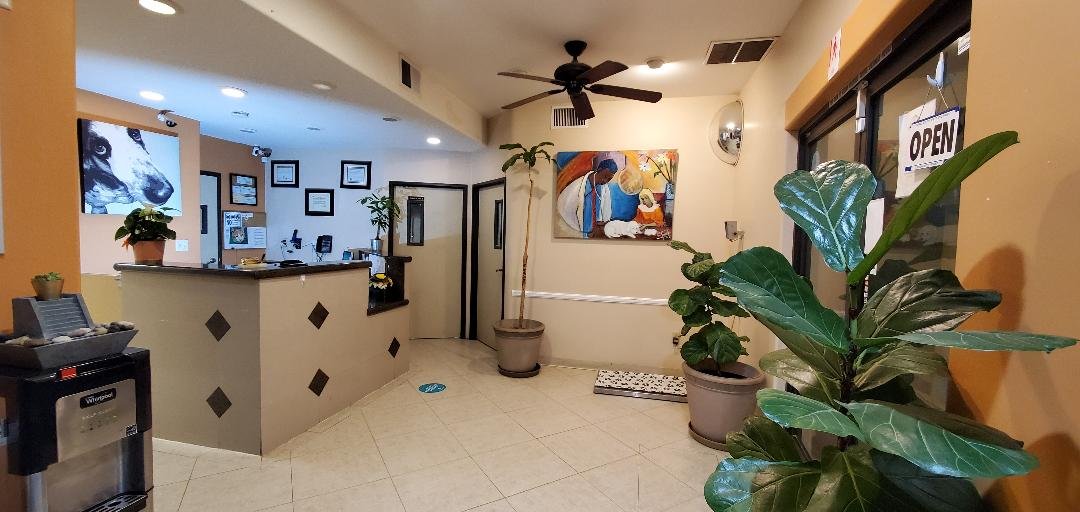 Reception desk at Cal City Pet Clinic