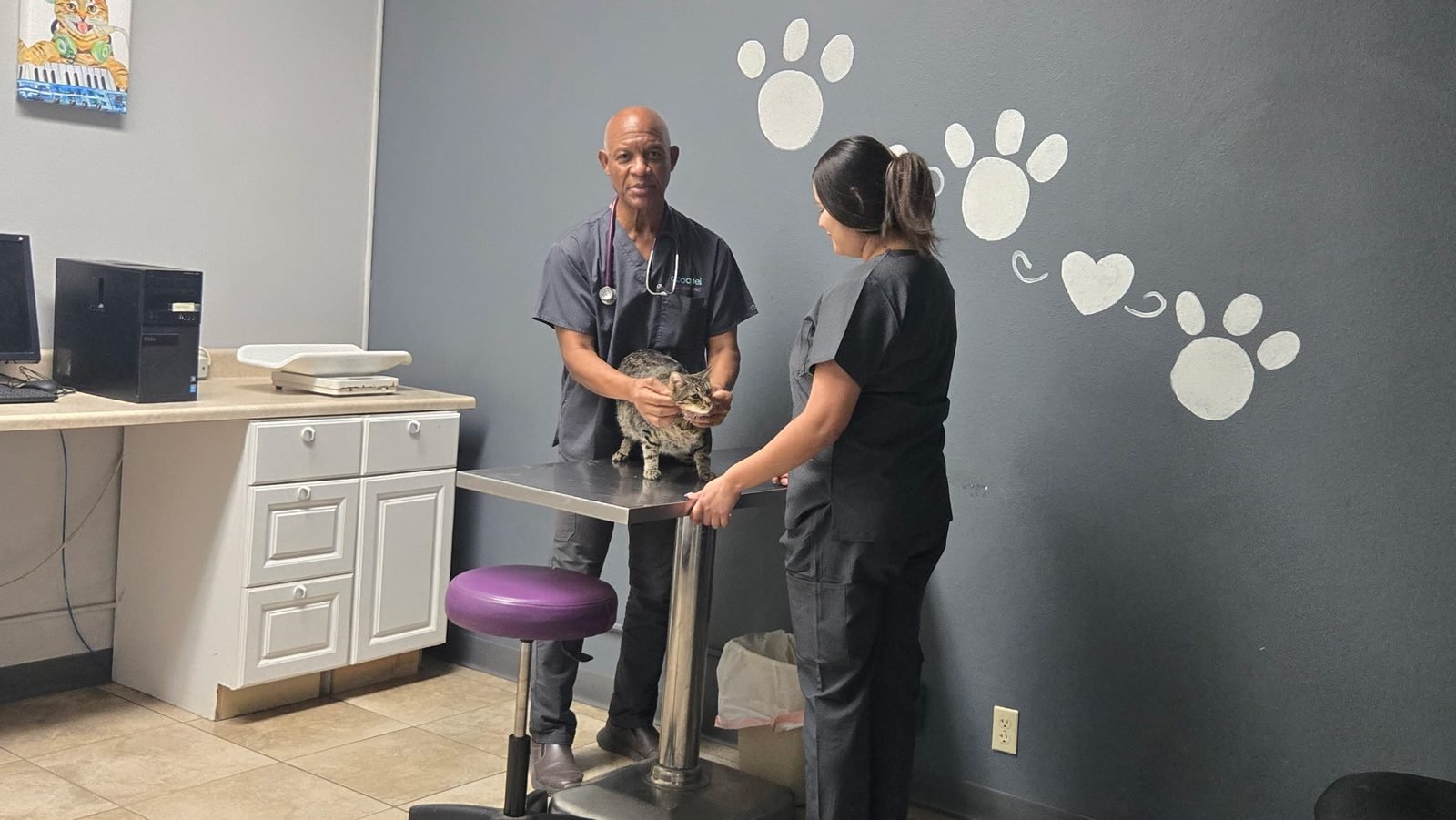 Dr. Trimnell examining a cat with a veterinary assistant at the Ridgecrest clinic